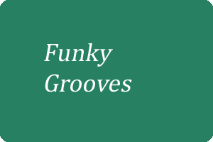 Funkygrooves-bild-Kopie-300x200 in Online Schlagzeug lernen